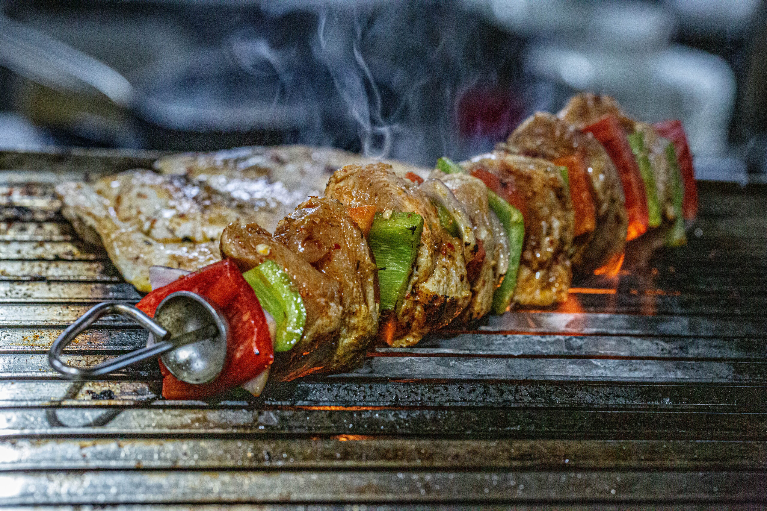 _A1A9610 leopard on tree branch