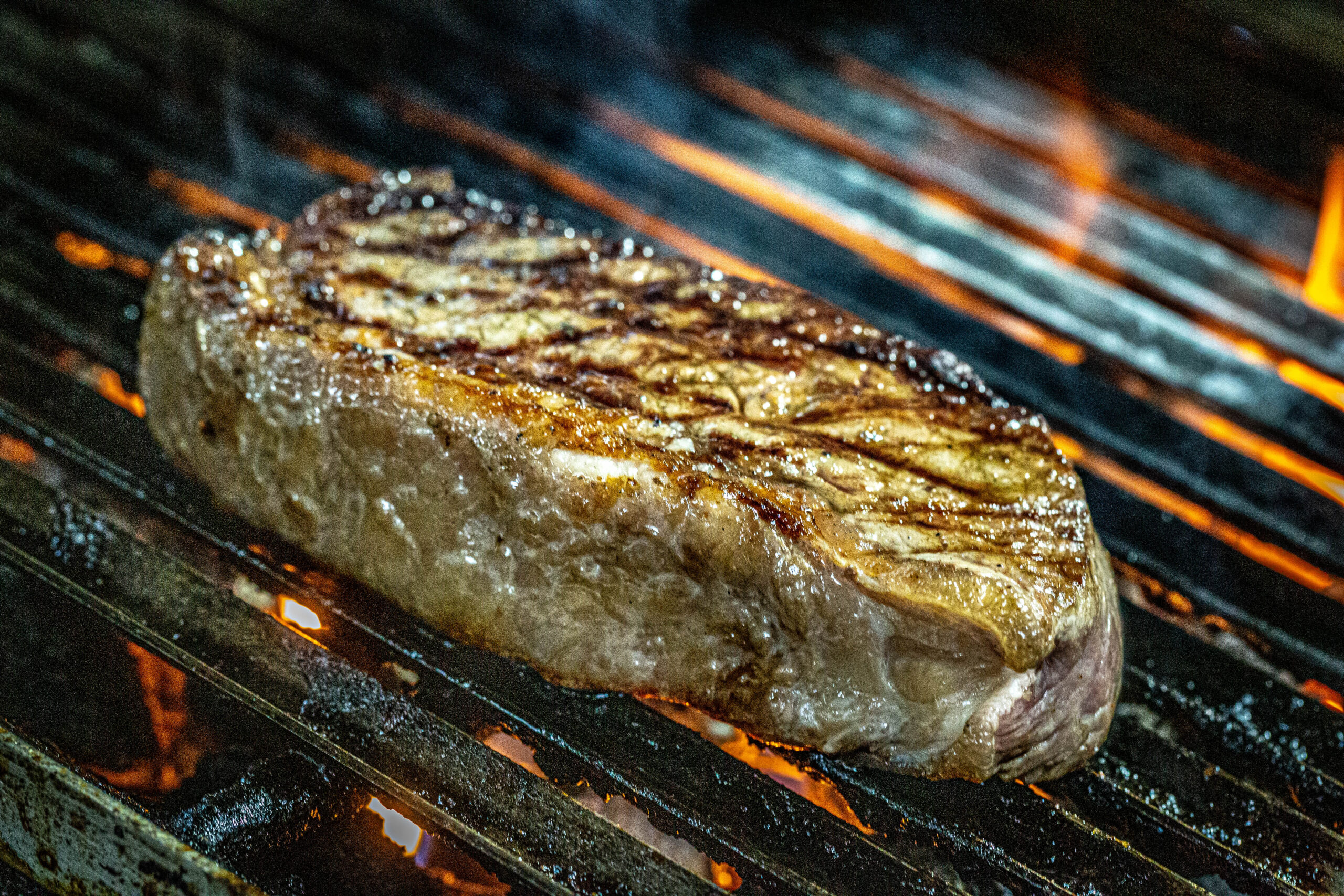 _A1A9618 brown squirrel eating nuts